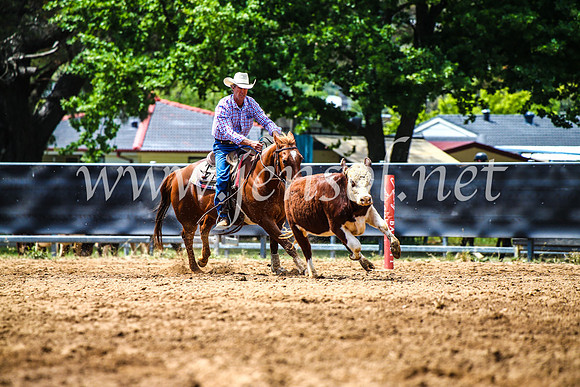 OrangeCampdraft2017_4685