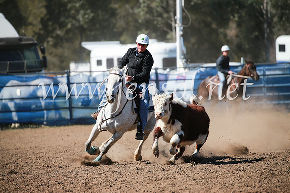 CCCampdraft2016_5529