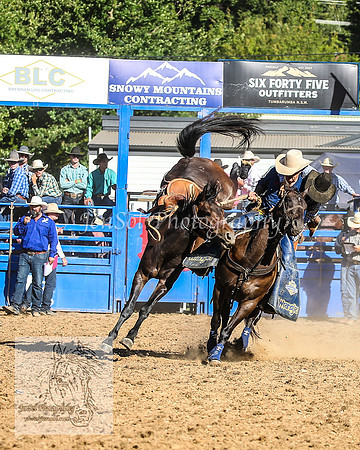 TumbarumbaRodeoNYD2025_2319