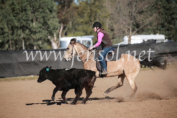 CCCampdraft2016_6505
