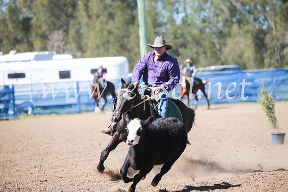 CCCampdraft2016_5531