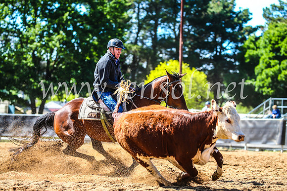 OrangeCampdraft2017_4336