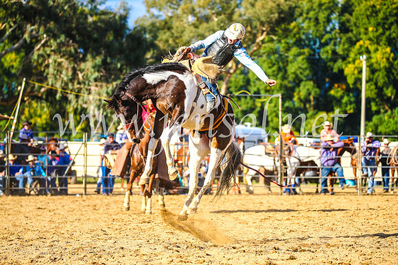 TumutRodeo2017_2570