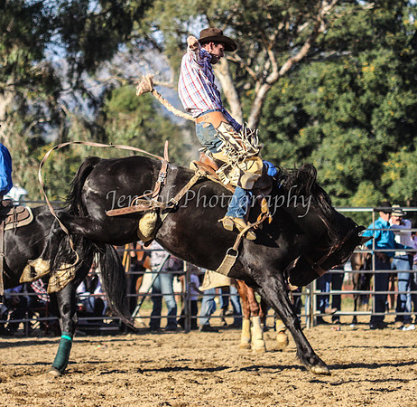 Tumut2_0500