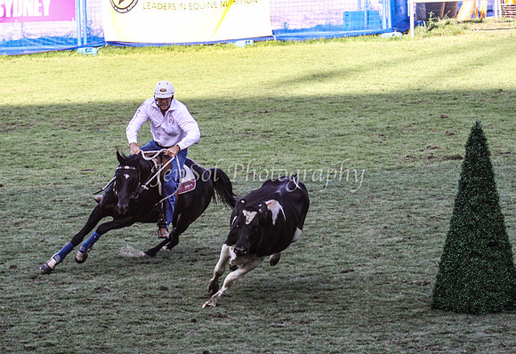 EquitanaSat_1076