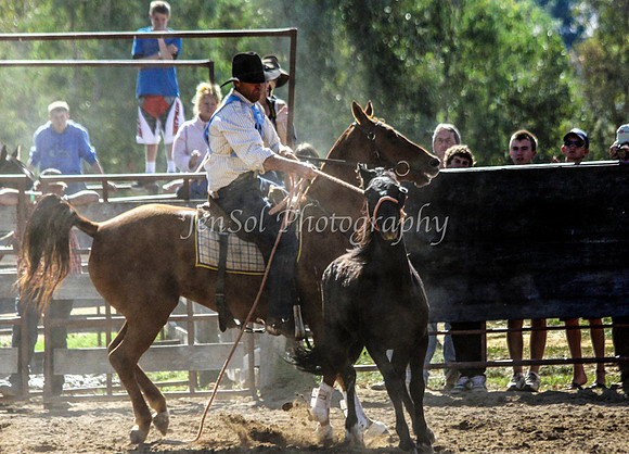 Corryong09 326
