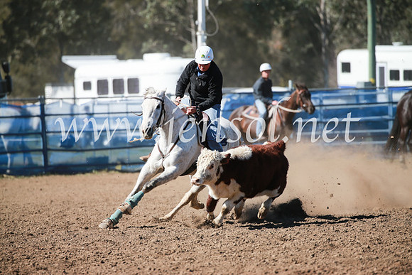 CCCampdraft2016_5527