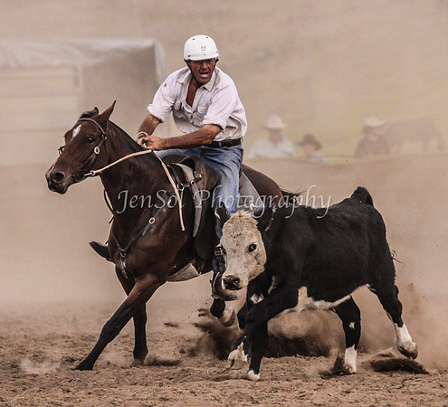IMG_0649CabSat