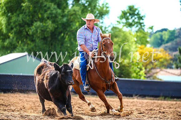 OrangeCampdraft2017_3911