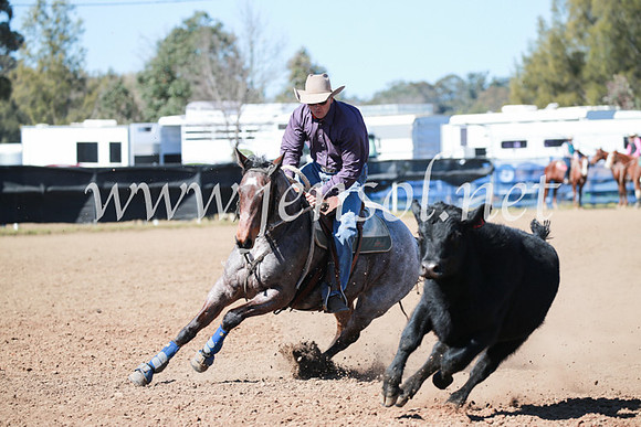 CCCampdraft2016_5692