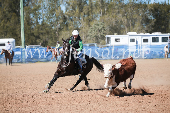 CCCampdraft2016_5731