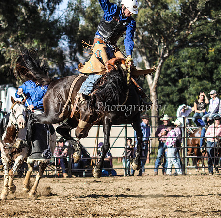 Tumut2_0373