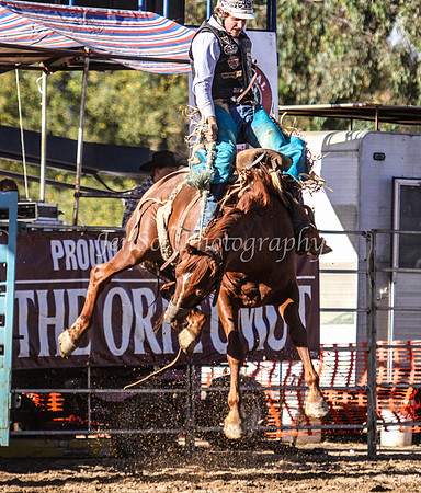Tumut2_0336