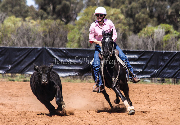 Wwyalong0527