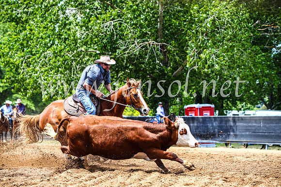 OrangeCampdraft2017_4706