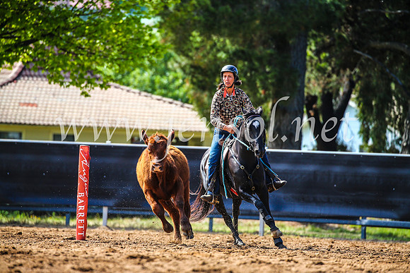 OrangeCampdraft2017_4181