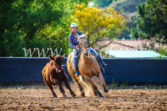 OrangeCampdraft2017_4199