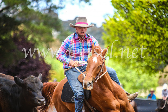 OrangeCampdraft2017_5717