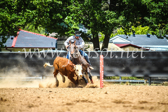 OrangeCampdraft2017_5262