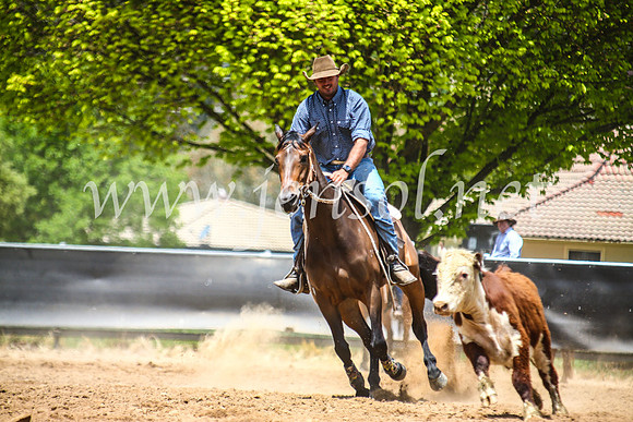OrangeCampdraft2017_5298
