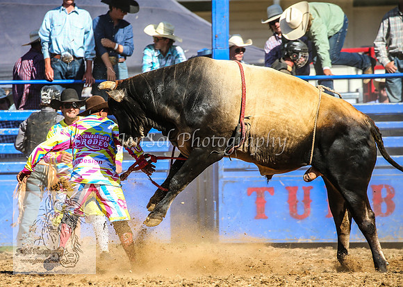 TumbarumbaRodeoNYE2025_3723