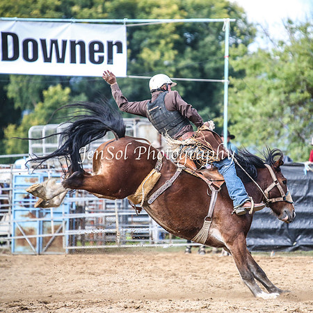 TumutRodeo2014_2387