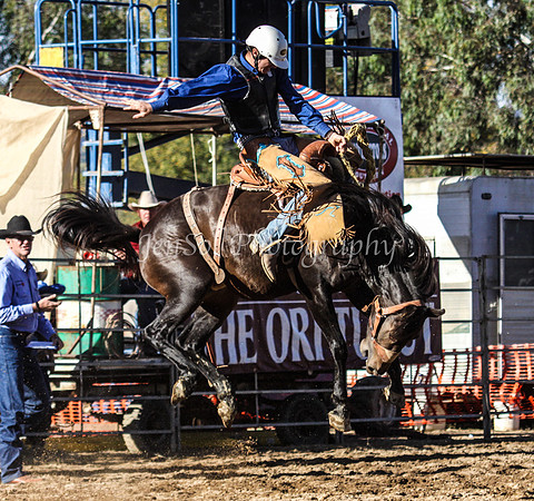 Tumut2_0364
