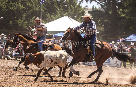 Taralga1_0320