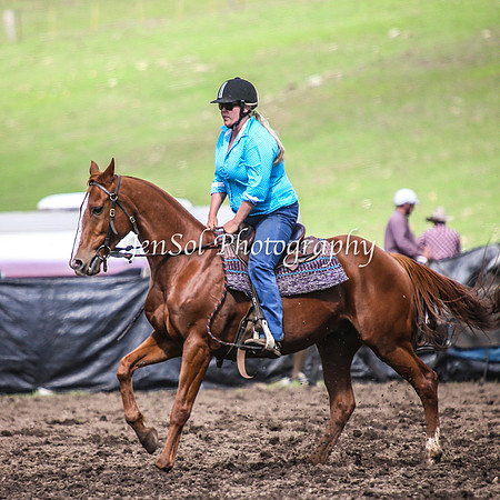 CabanandraCampdraft2014_1271