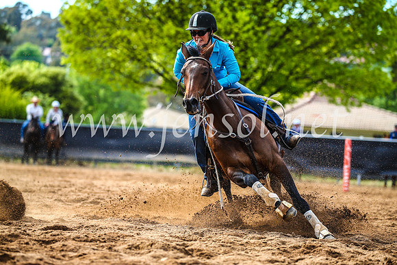 OrangeCampdraft2017_4000
