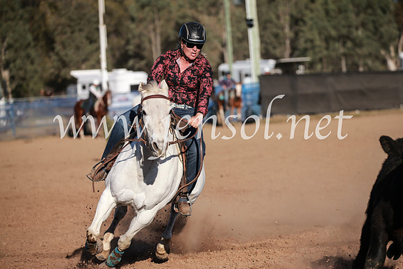CCCampdraft2016_6558