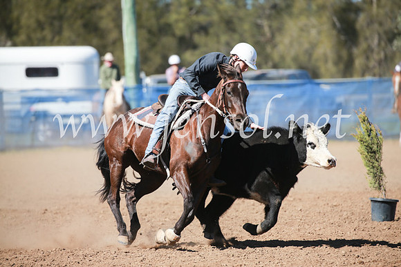 CCCampdraft2016_5622
