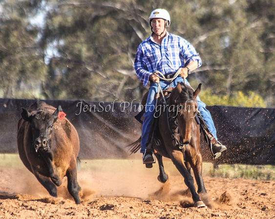 Wwyalong0950