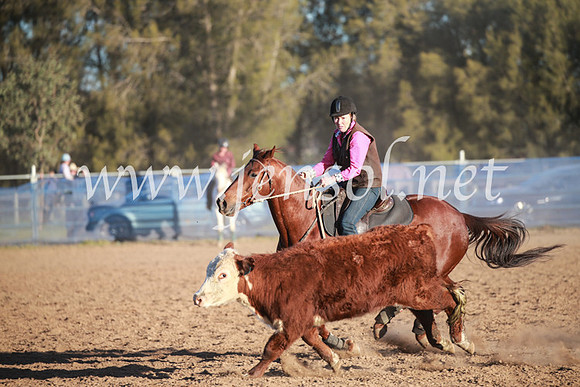 CCCampdraft2016_6847