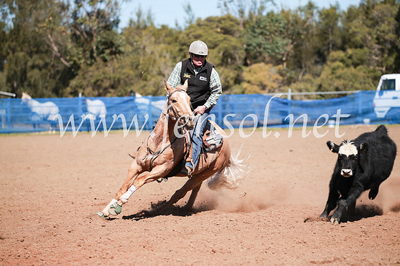 CCCampdraft2016_5959
