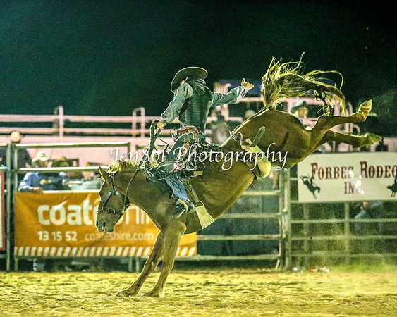 ForbesRodeo2014_3720