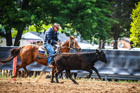 OrangeCampdraft2017_3990