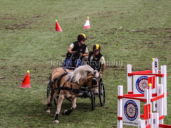 EquitanaSat_0079