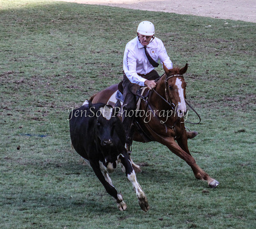 EquitanaSat_1063