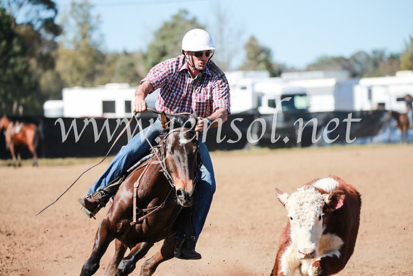 CCCampdraft2016_5558
